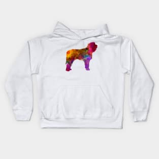 Otterhound in watercolor Kids Hoodie